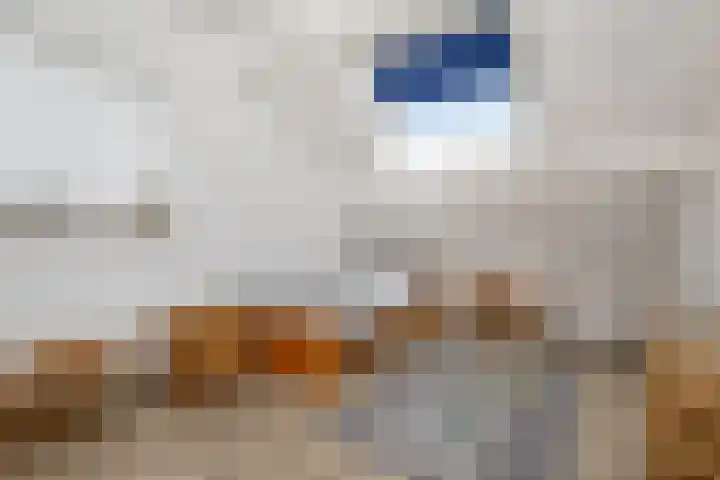 Frans Halslaan 4 Middelharnis thumbnail 23