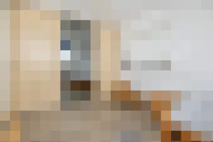Frans Halslaan 4 Middelharnis thumbnail 24