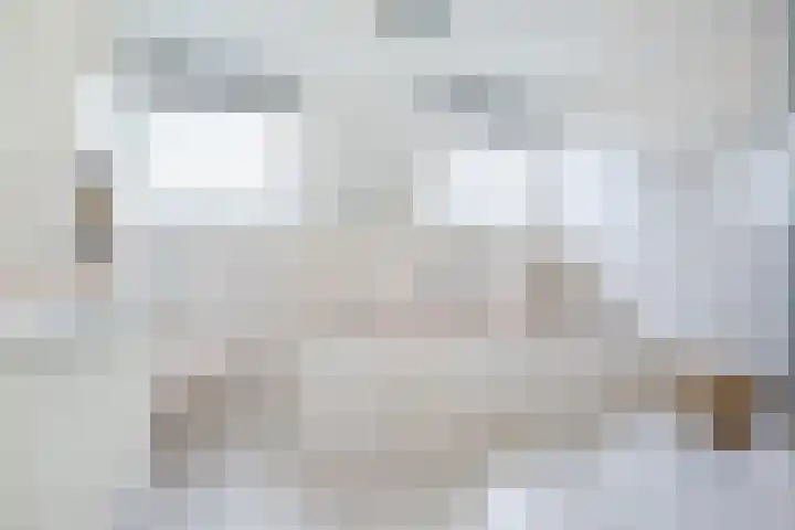 Frans Halslaan 4 Middelharnis thumbnail 25