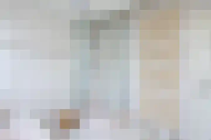 Frans Halslaan 4 Middelharnis thumbnail 26
