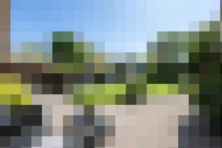 Frans Halslaan 4 Middelharnis thumbnail 29