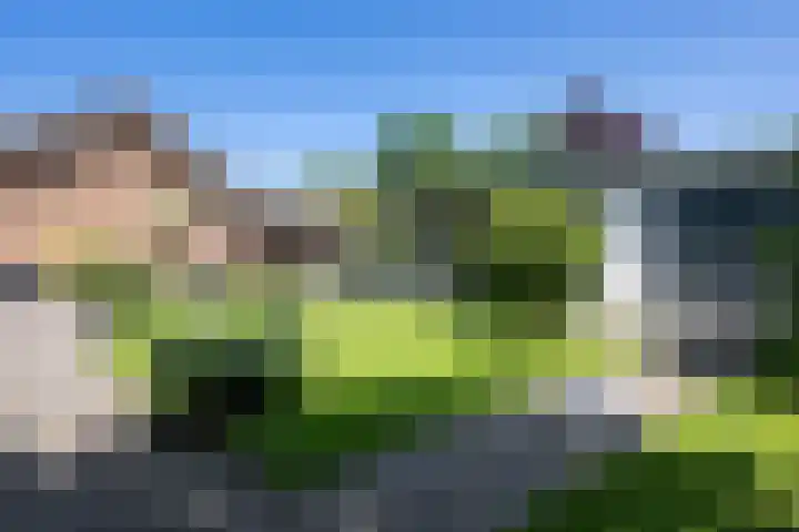 Frans Halslaan 4 Middelharnis thumbnail 33