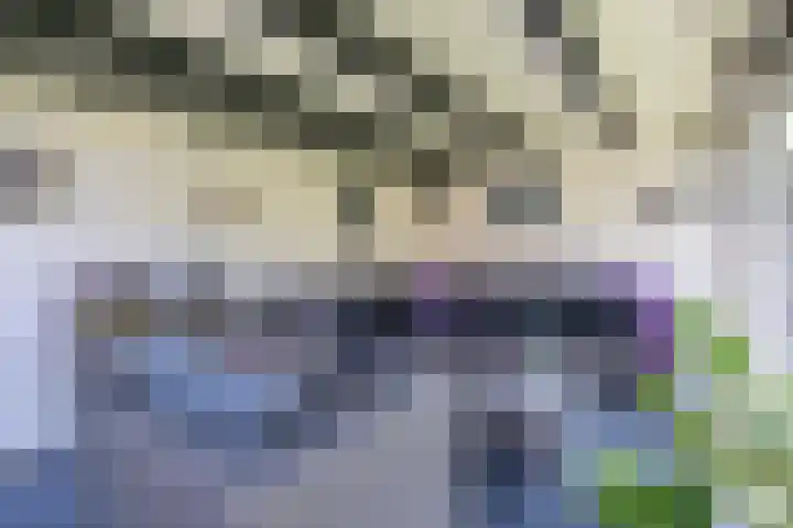 Frans Halslaan 4 Middelharnis thumbnail 34