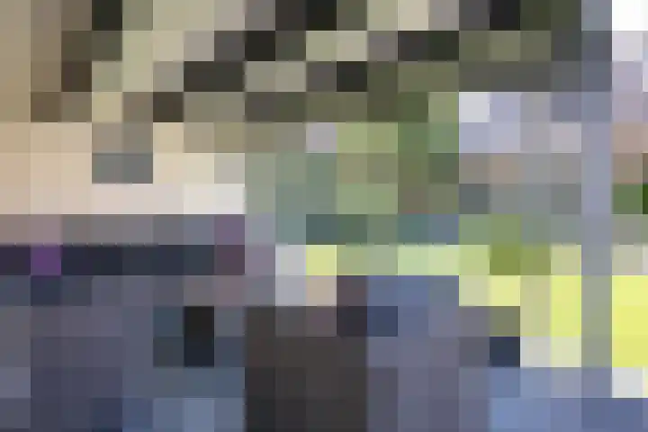 Frans Halslaan 4 Middelharnis thumbnail 35