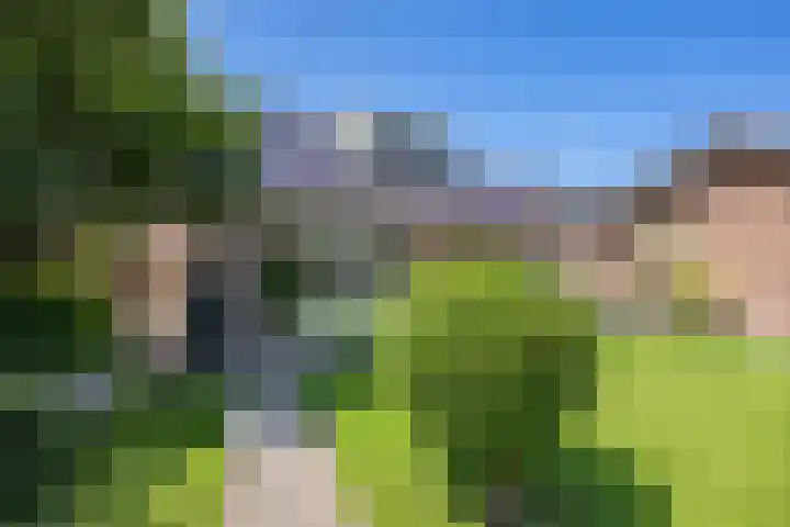 Frans Halslaan 4 Middelharnis thumbnail 37