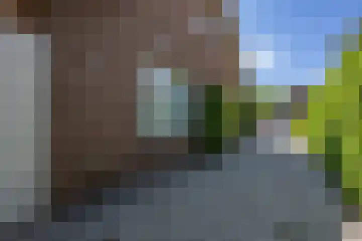 Frans Halslaan 4 Middelharnis thumbnail 39