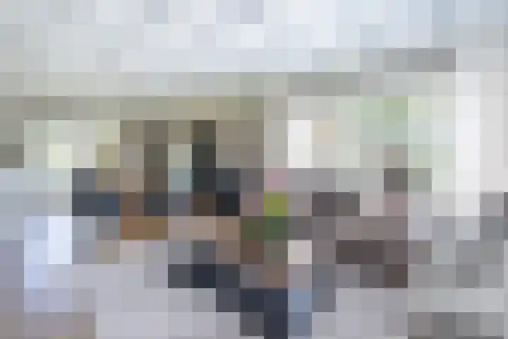 Frans Halslaan 4 Middelharnis thumbnail 4