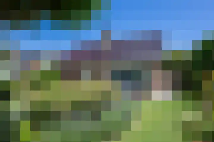 Frans Halslaan 4 Middelharnis thumbnail 41