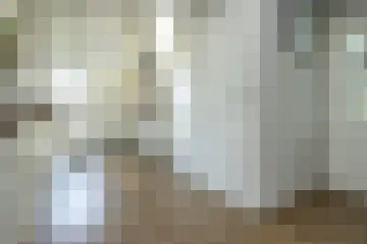 Frans Halslaan 4 Middelharnis thumbnail 5