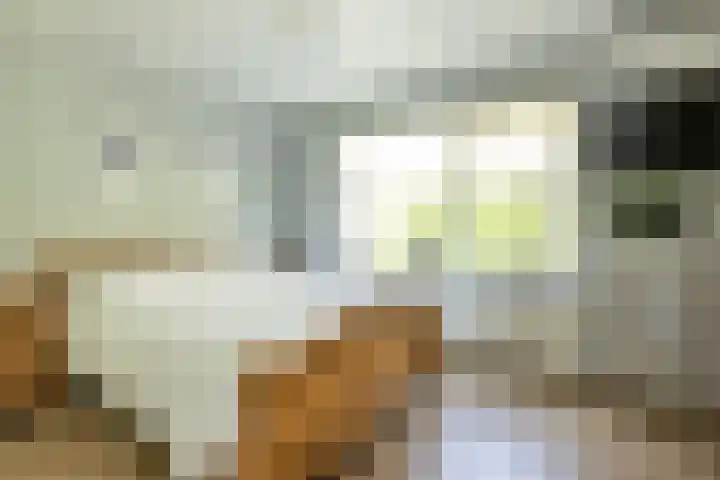 Frans Halslaan 4 Middelharnis thumbnail 6