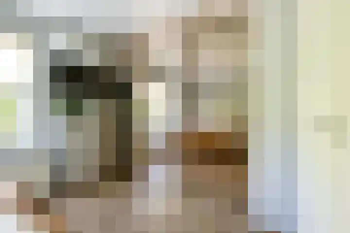 Frans Halslaan 4 Middelharnis thumbnail 7
