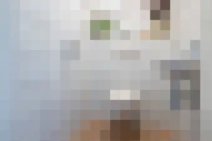 Frans Halslaan 4 Middelharnis thumbnail 8