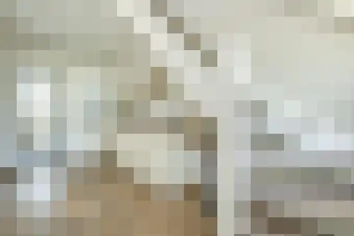 Frans Halslaan 4 Middelharnis thumbnail 9