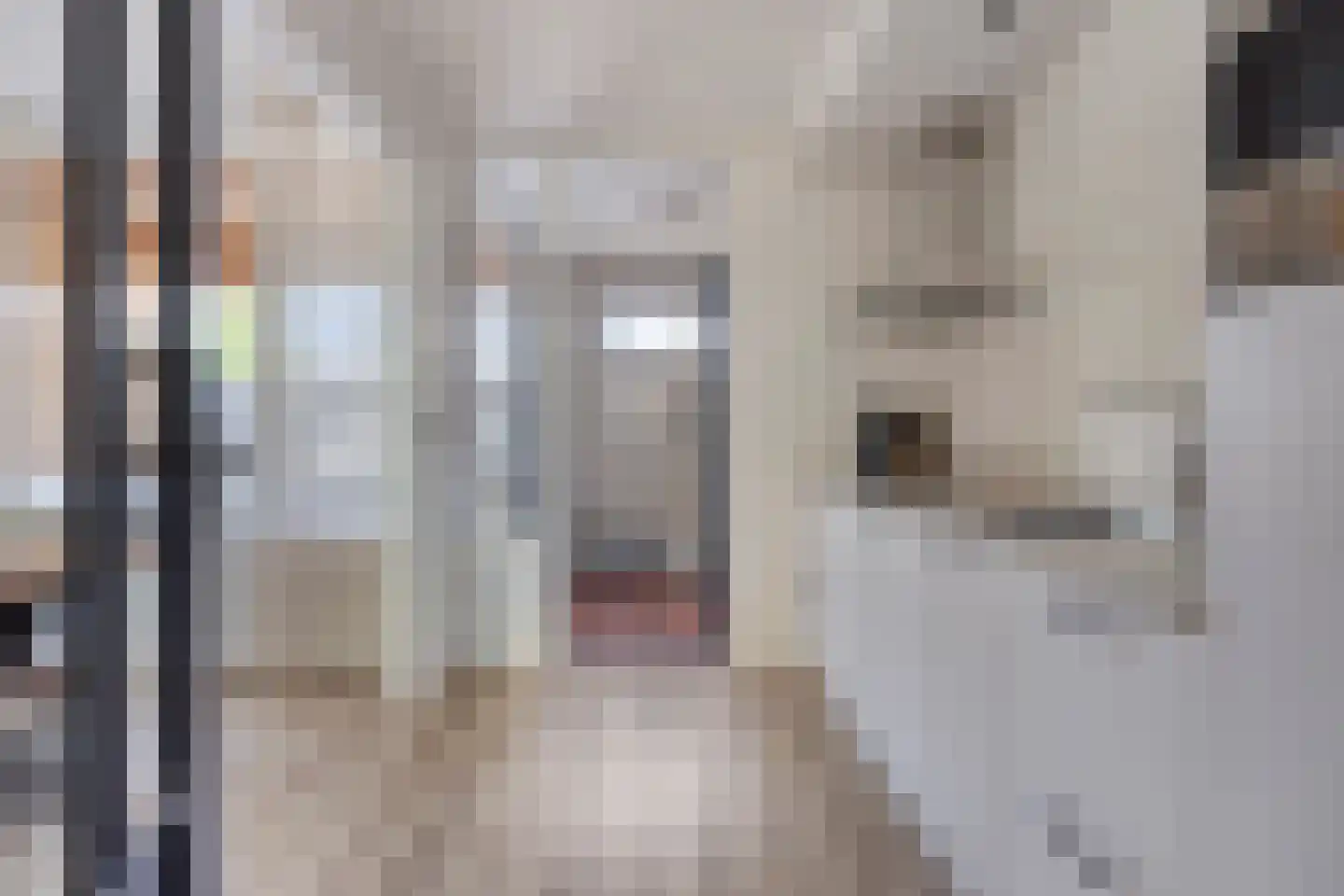 Frans Halslaan 4 Scherpenzeel thumbnail 10