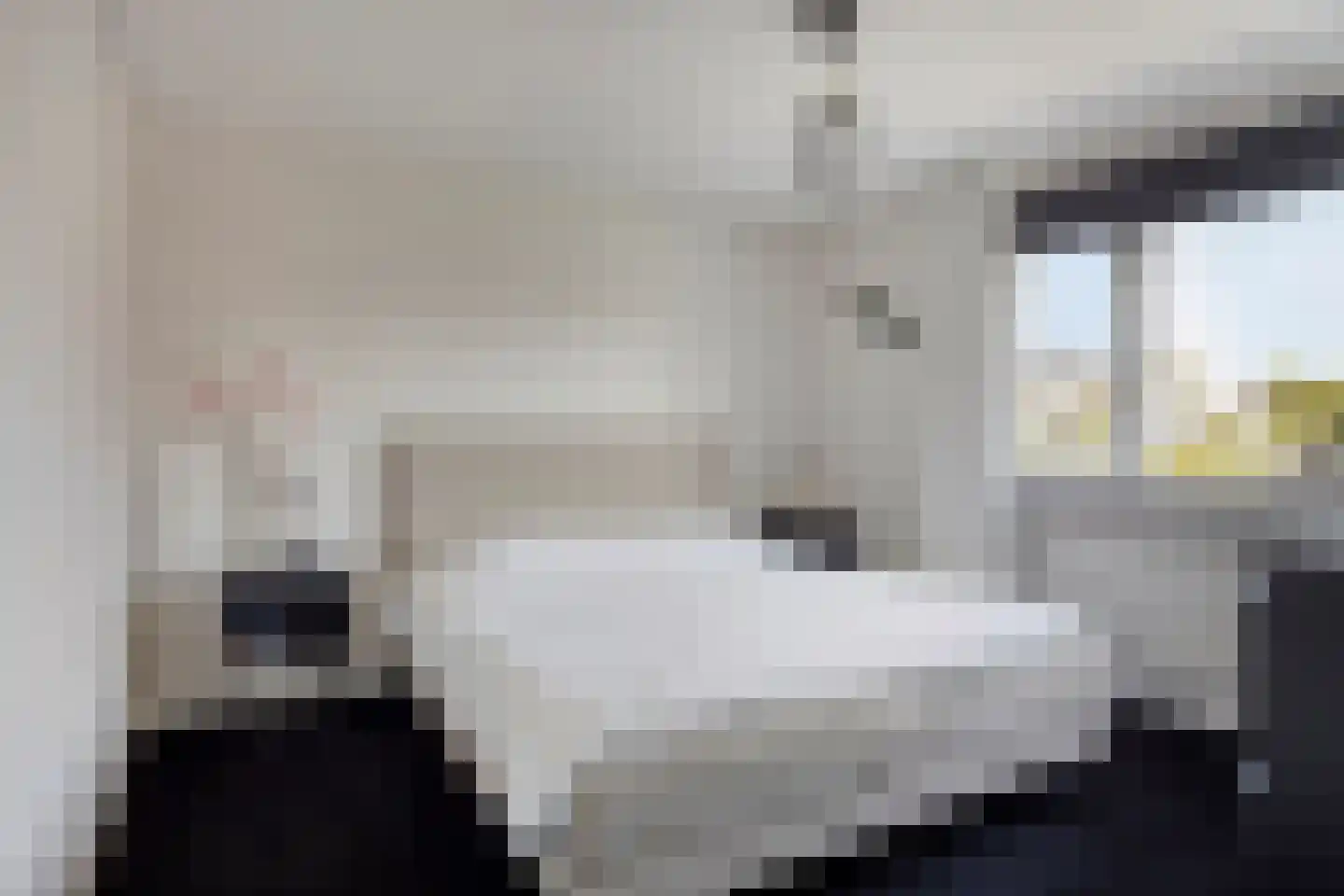 Frans Halslaan 4 Scherpenzeel thumbnail 15