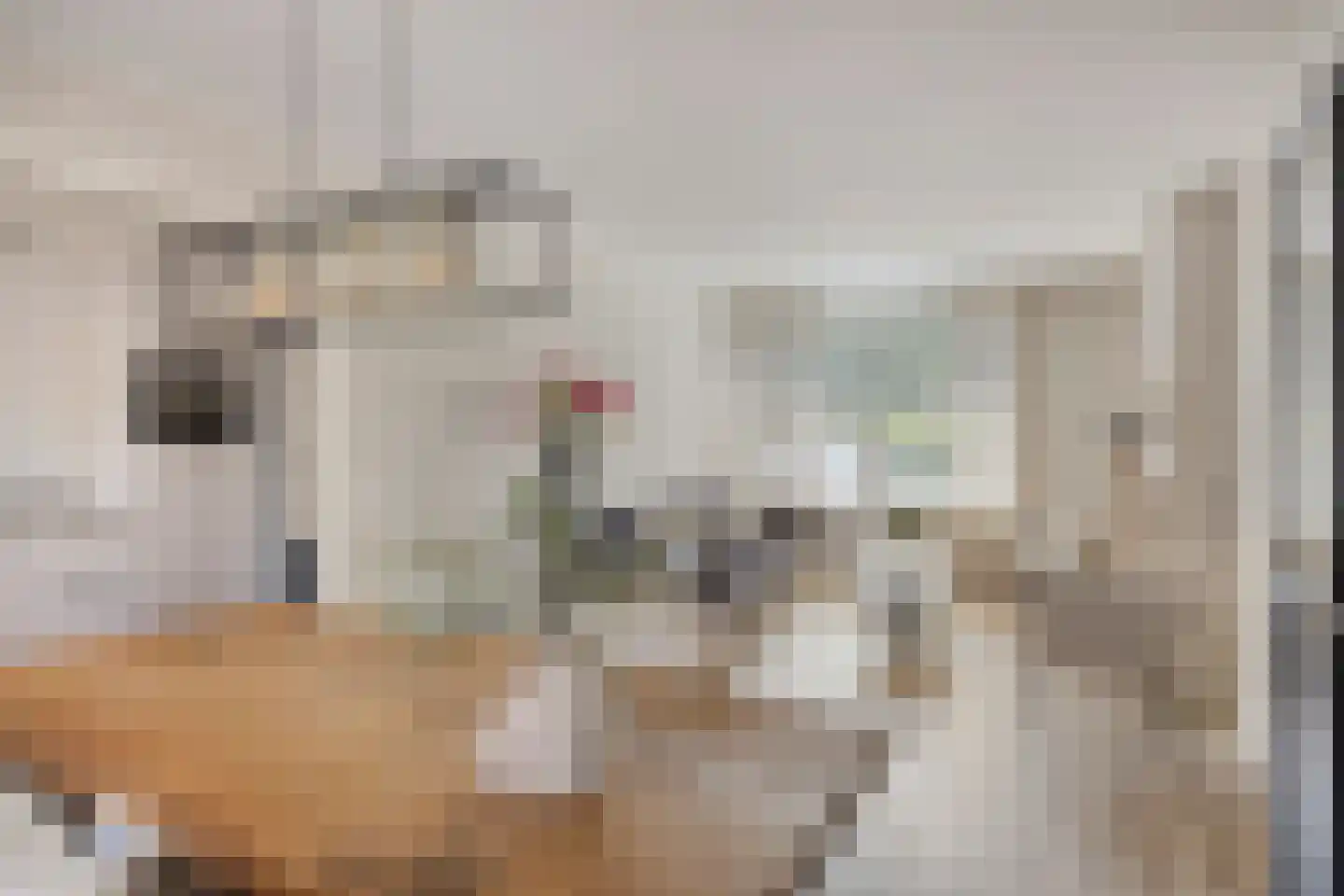 Frans Halslaan 4 Scherpenzeel foto 2