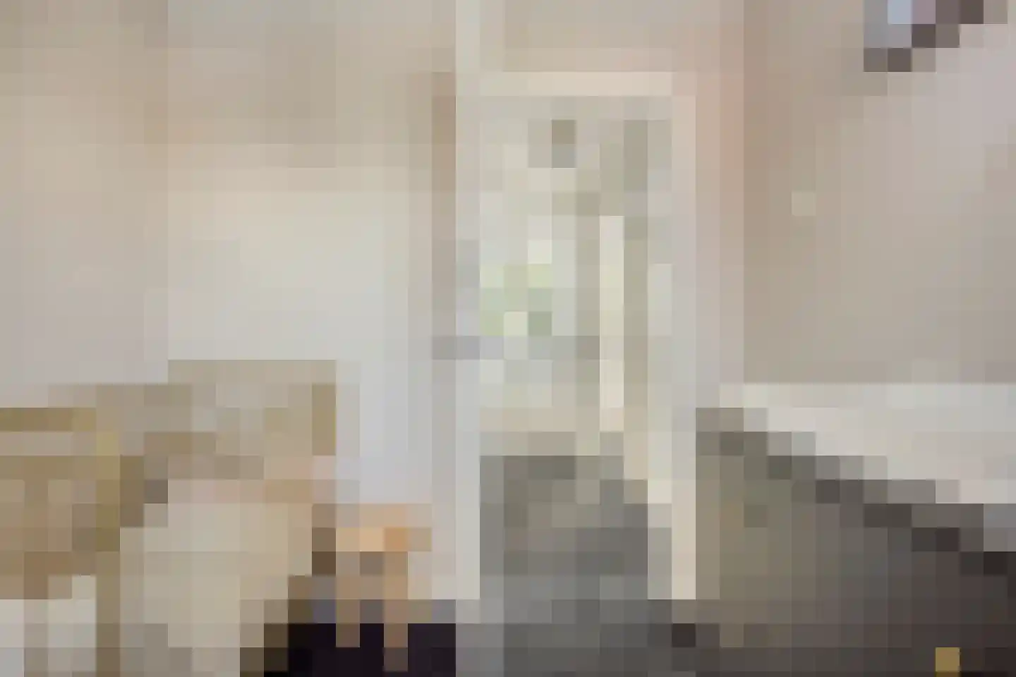 Frans Halslaan 4 Scherpenzeel thumbnail 20