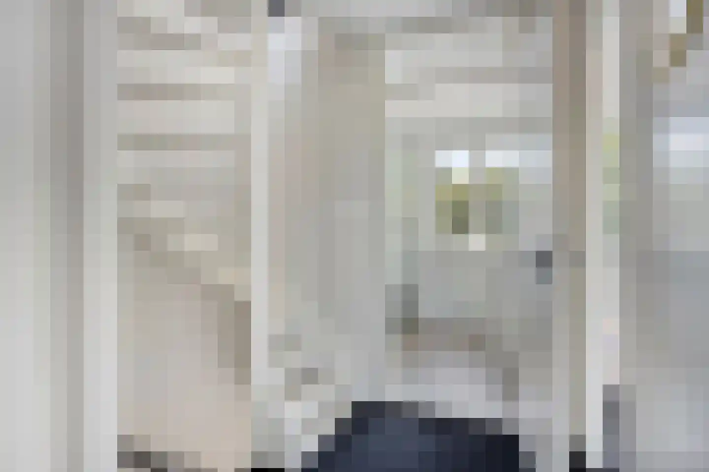 Frans Halslaan 4 Scherpenzeel thumbnail 21