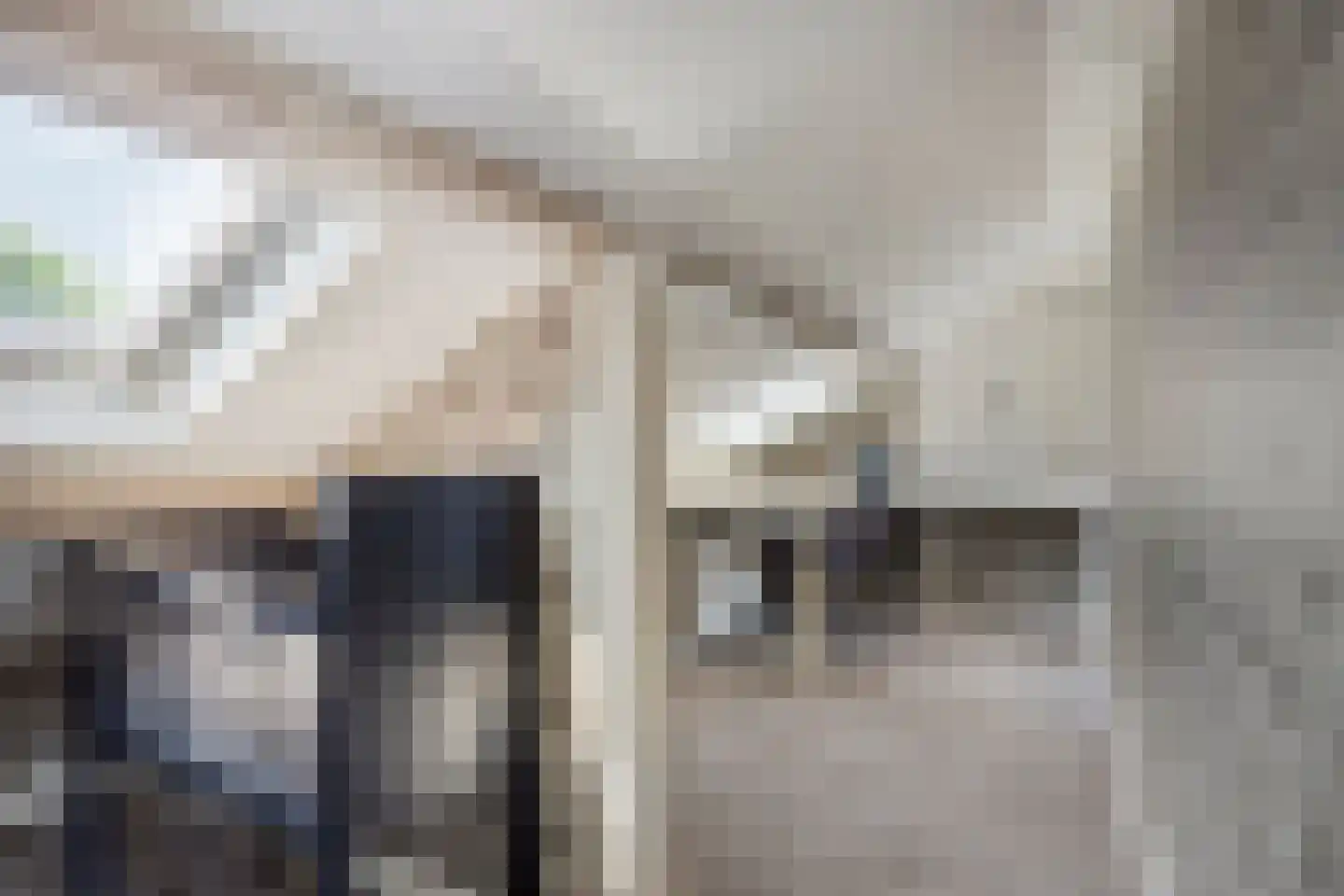 Frans Halslaan 4 Scherpenzeel thumbnail 22