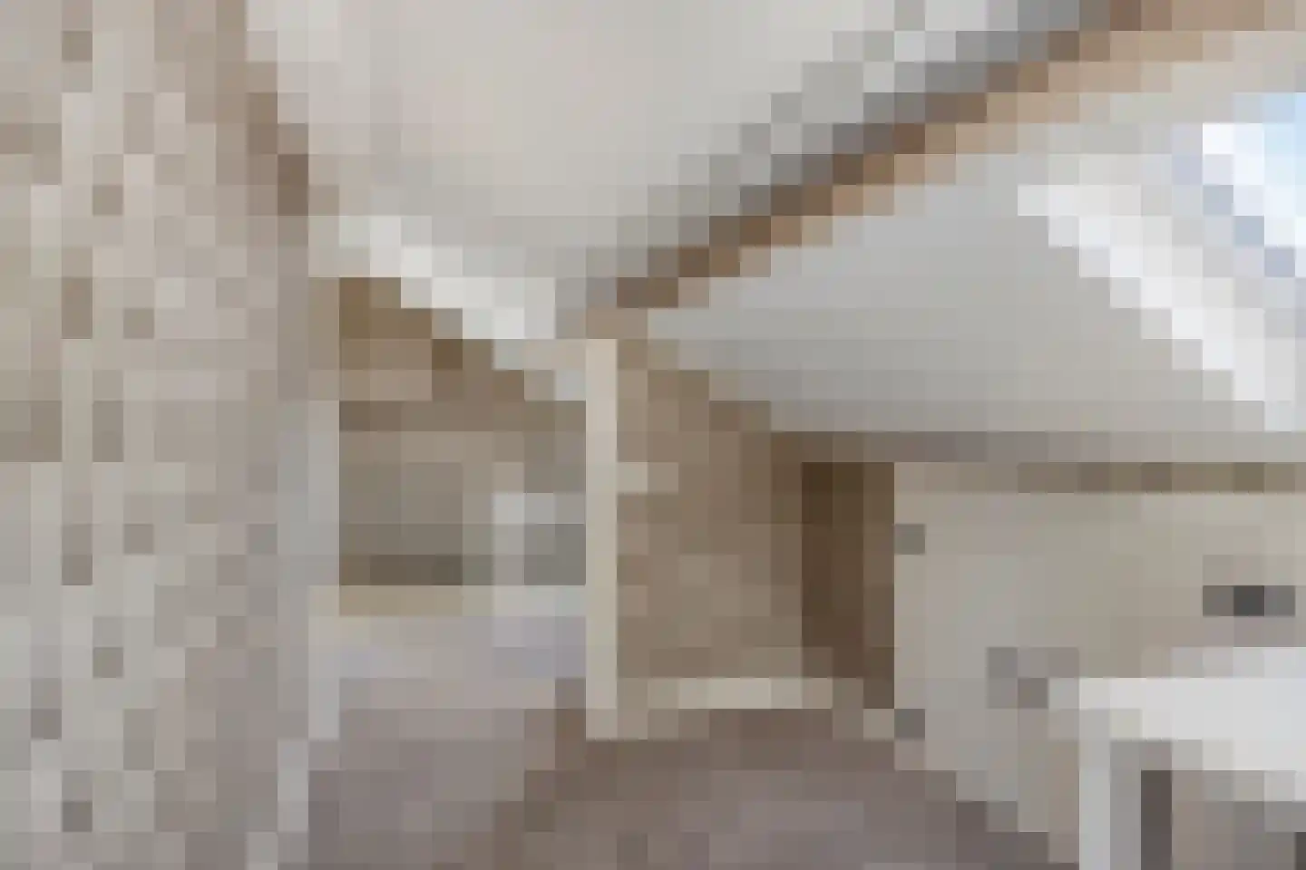Frans Halslaan 4 Scherpenzeel thumbnail 23