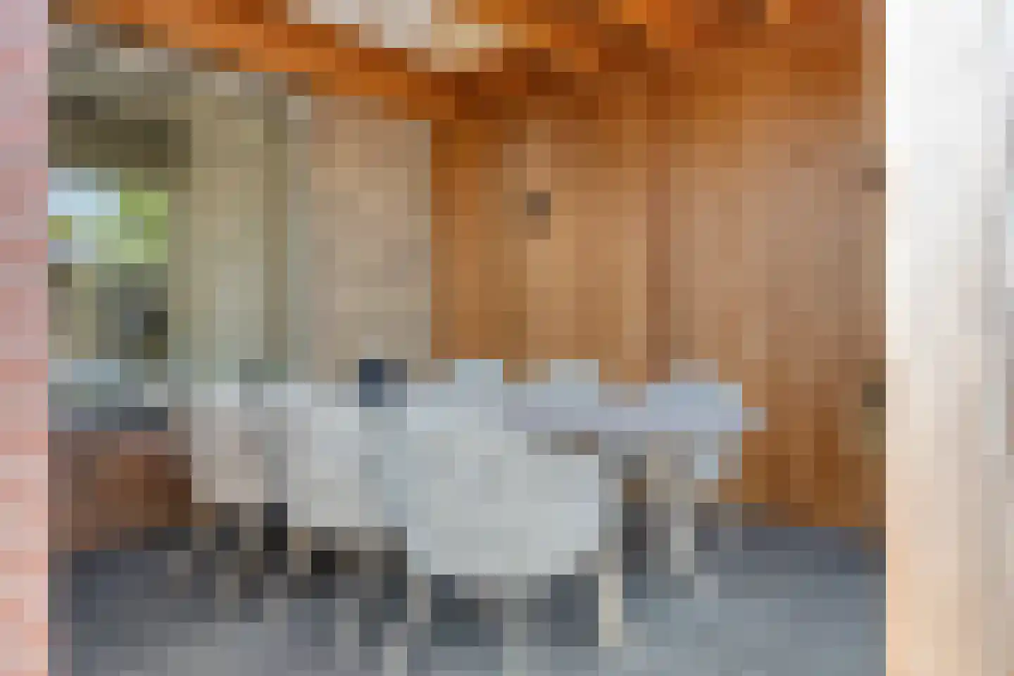 Frans Halslaan 4 Scherpenzeel thumbnail 29