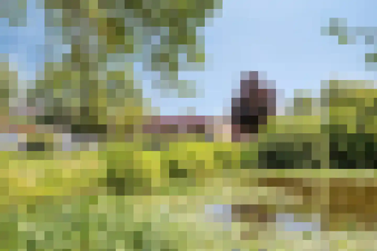 Frans Halslaan 4 Scherpenzeel thumbnail 36