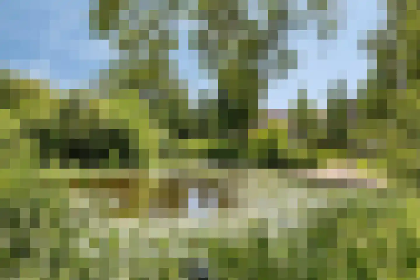 Frans Halslaan 4 Scherpenzeel thumbnail 37