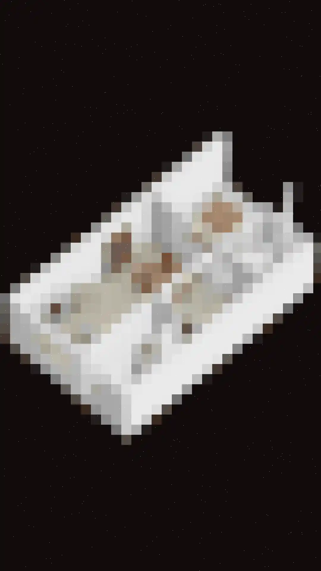 Frans Halslaan 4 Scherpenzeel thumbnail 43