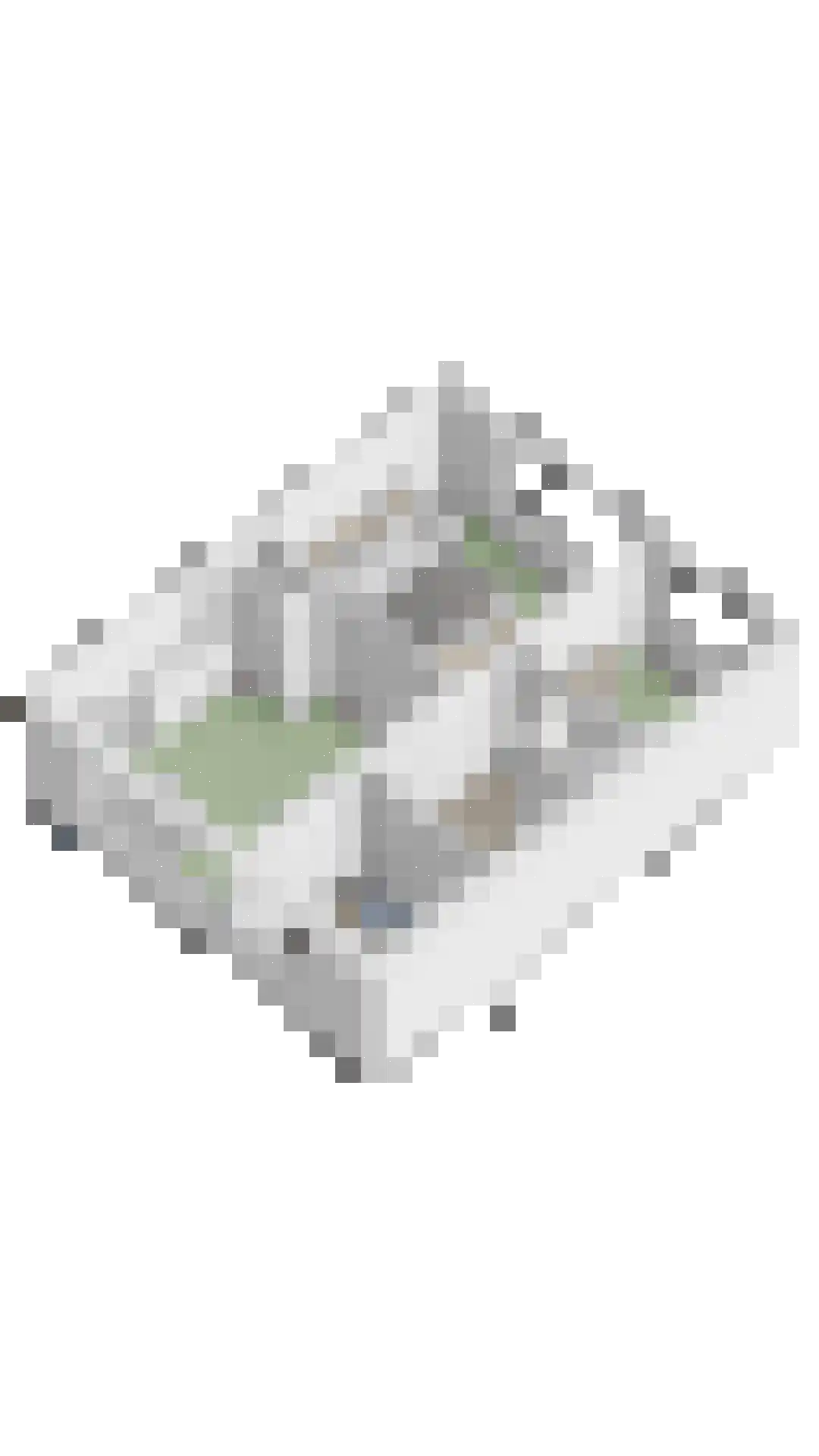 Frans Halslaan 4 Scherpenzeel thumbnail 44