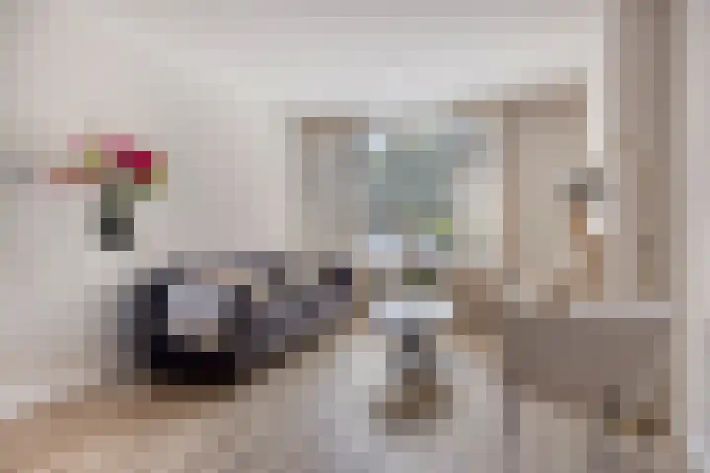Frans Halslaan 4 Scherpenzeel thumbnail 5