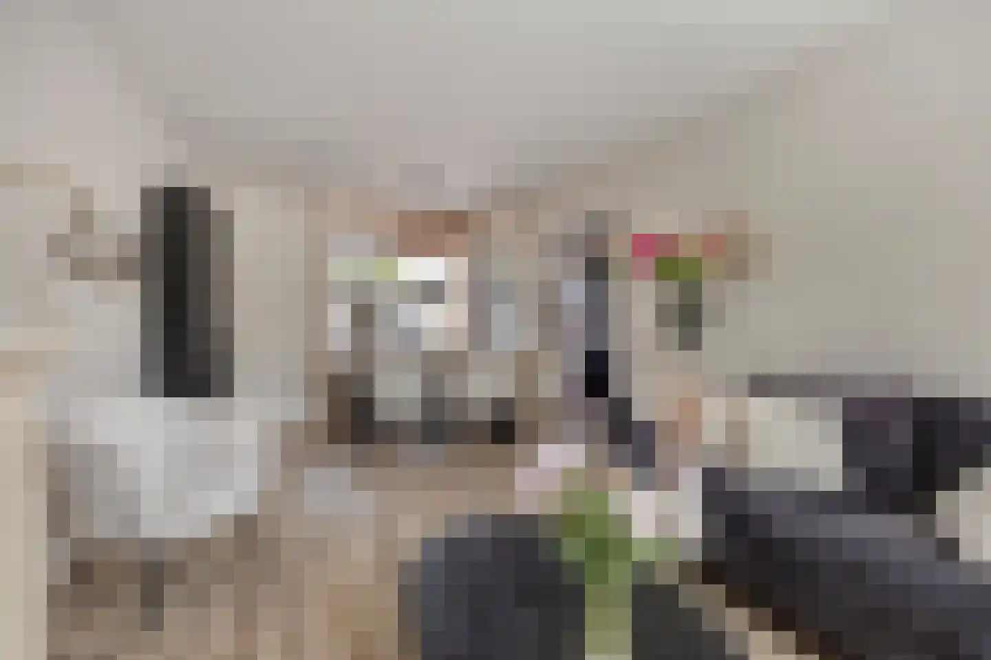 Frans Halslaan 4 Scherpenzeel thumbnail 7
