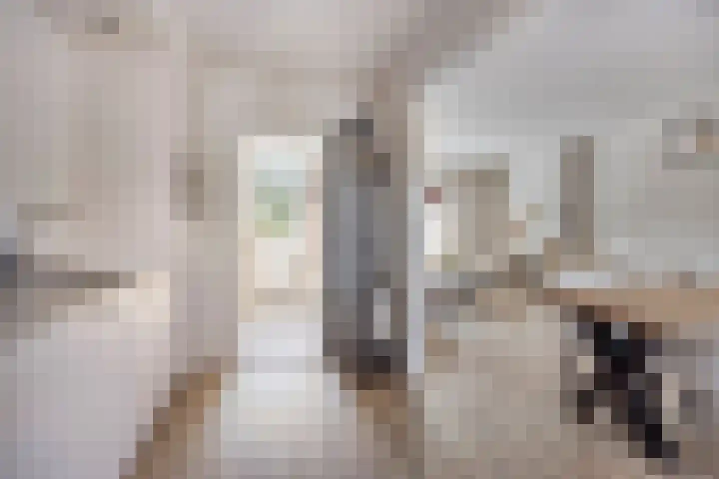 Frans Halslaan 4 Scherpenzeel thumbnail 8