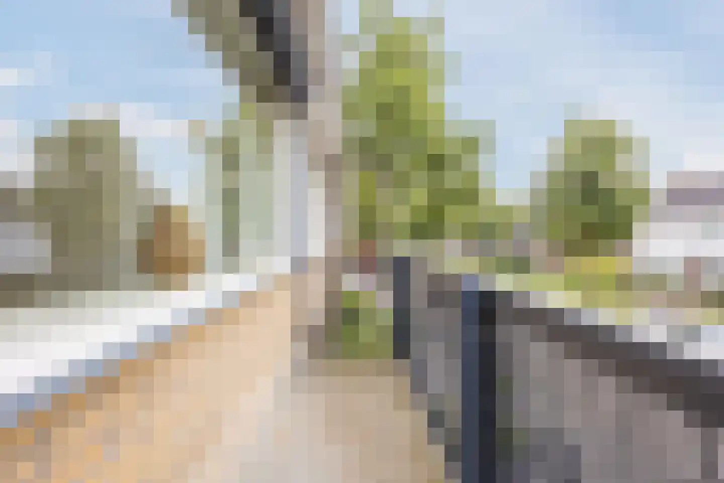 Frans Halslaan 40 Roosendaal thumbnail 31