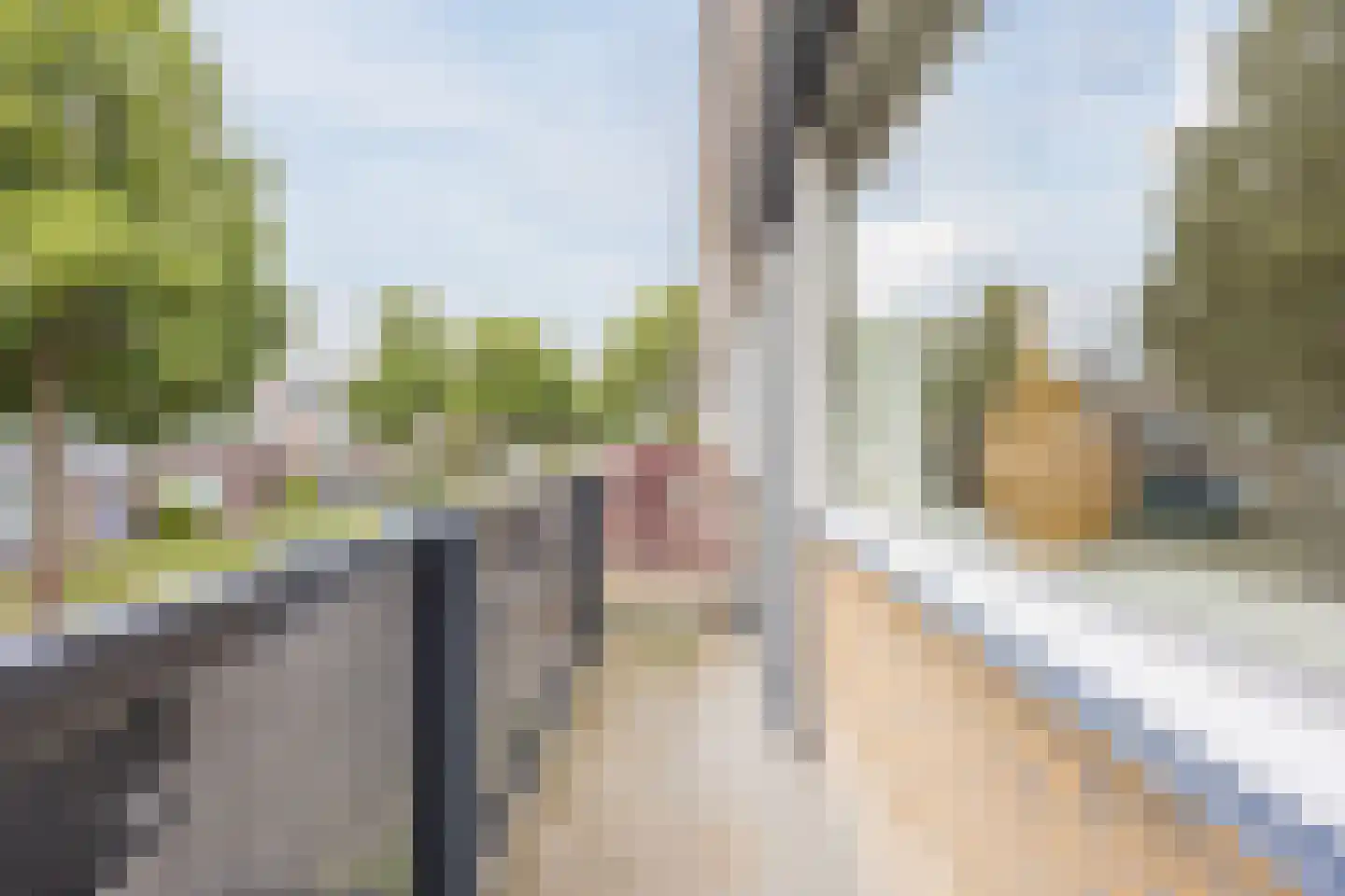 Frans Halslaan 40 Roosendaal thumbnail 32