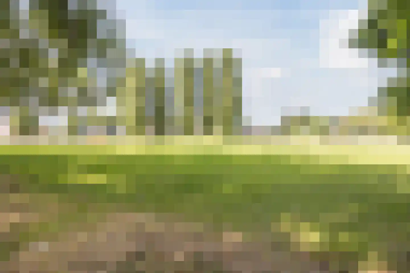 Frans Halslaan 40 Roosendaal thumbnail 51