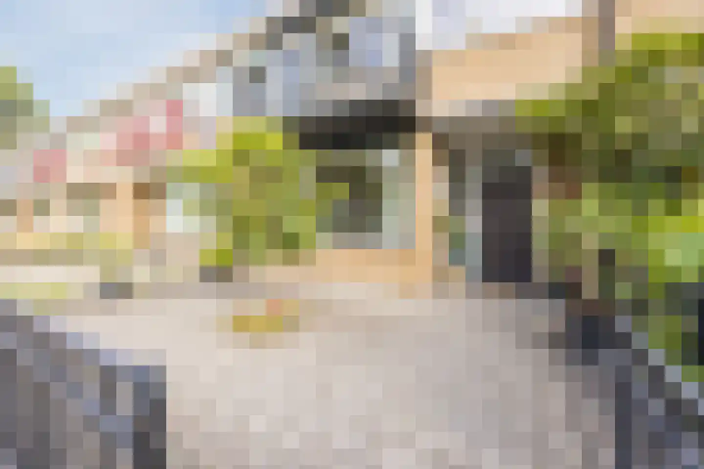 Frans Halslaan 40 Roosendaal thumbnail 8
