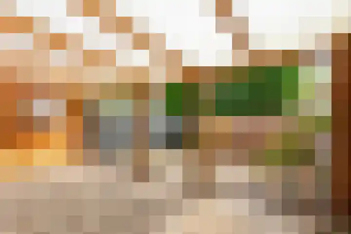 Frans Halslaan 42 Baarn thumbnail 12