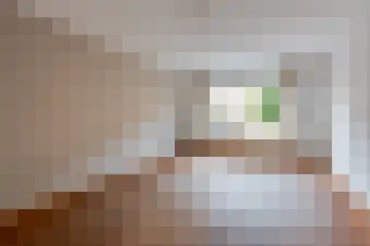Frans Halslaan 42 Baarn thumbnail 5