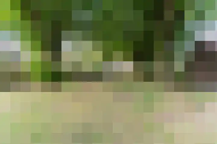 Frans Halslaan 43 Oosterhout thumbnail 18