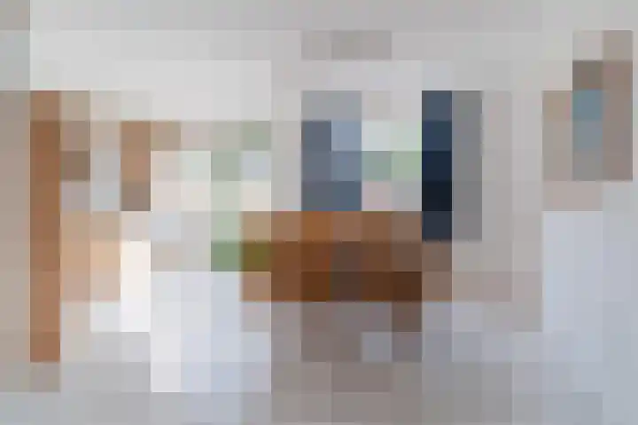 Frans Halslaan 43 Oosterhout thumbnail 5