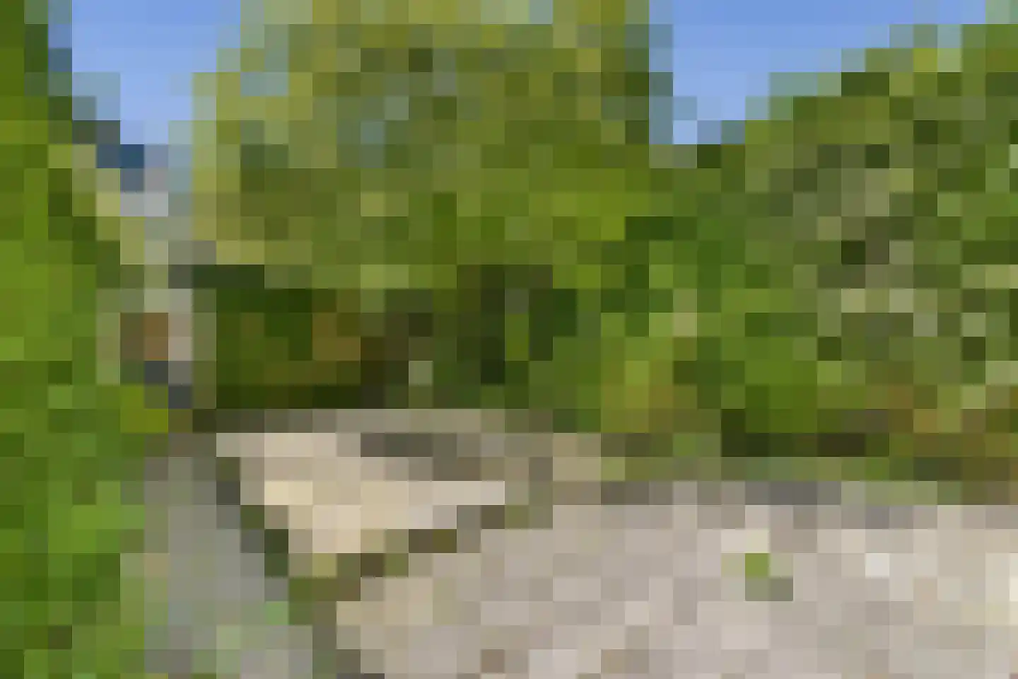 Frans Halslaan 46 Oegstgeest thumbnail 8
