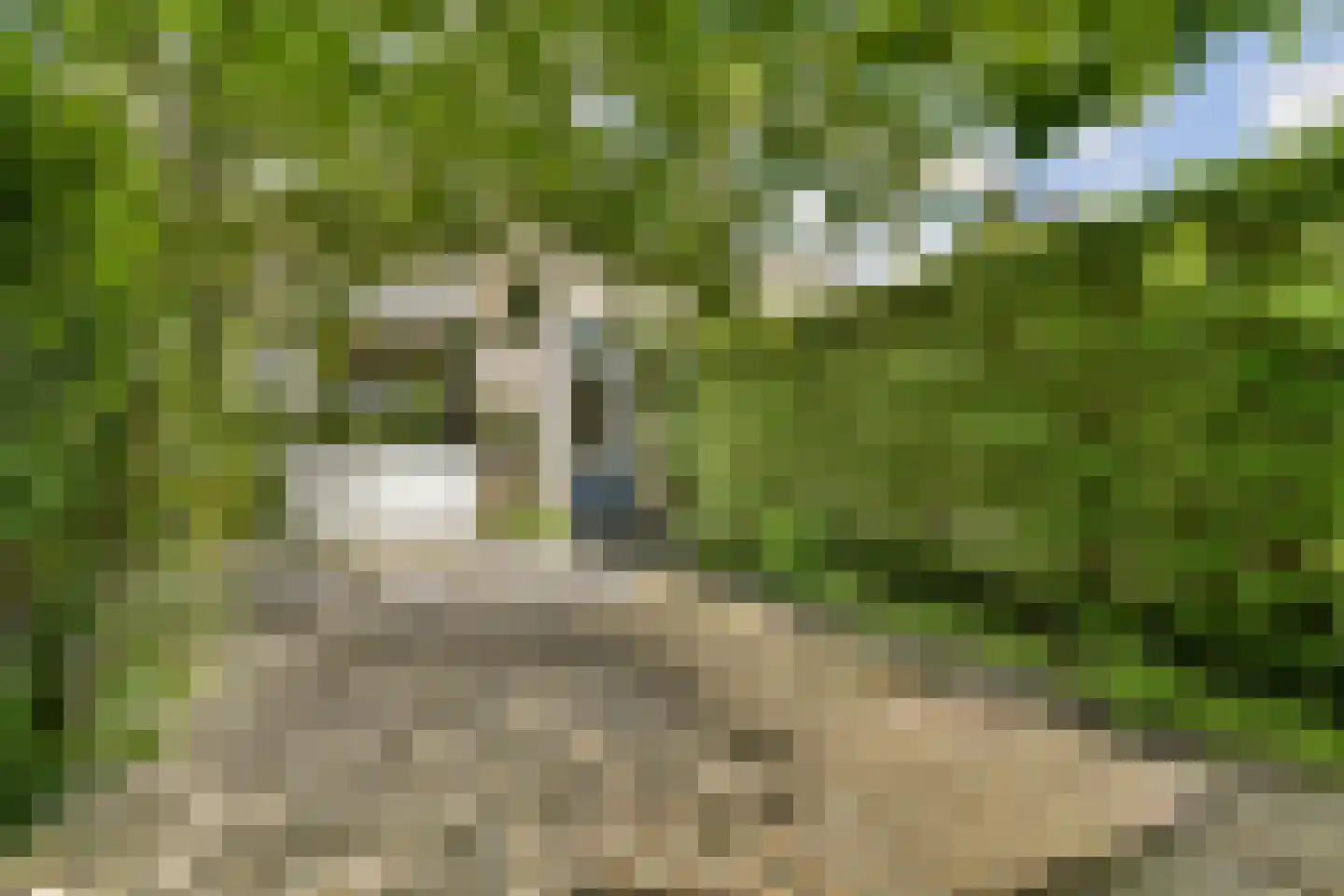 Frans Halslaan 46 Oegstgeest thumbnail 9