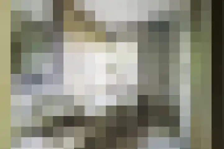 Frans Halslaan 49 Arnhem thumbnail 22