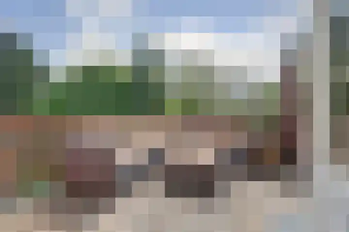 Frans Halslaan 49 Arnhem thumbnail 4