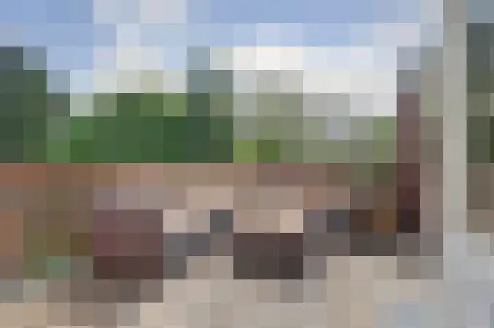 Frans Halslaan 49 Arnhem thumbnail 42