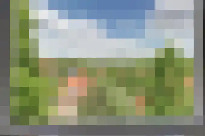 Frans Halslaan 49 Arnhem thumbnail 45