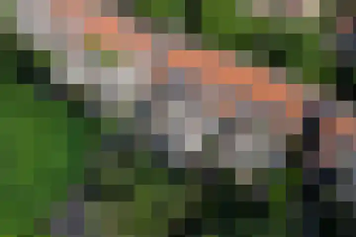 Frans Halslaan 49 Arnhem thumbnail 50