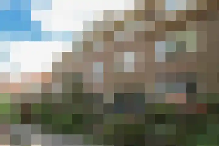 Frans Halslaan 49 Arnhem thumbnail 51