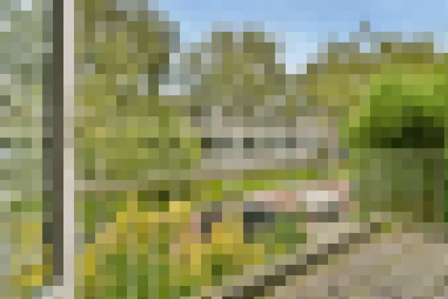 Frans Halslaan 58 Oegstgeest thumbnail 15