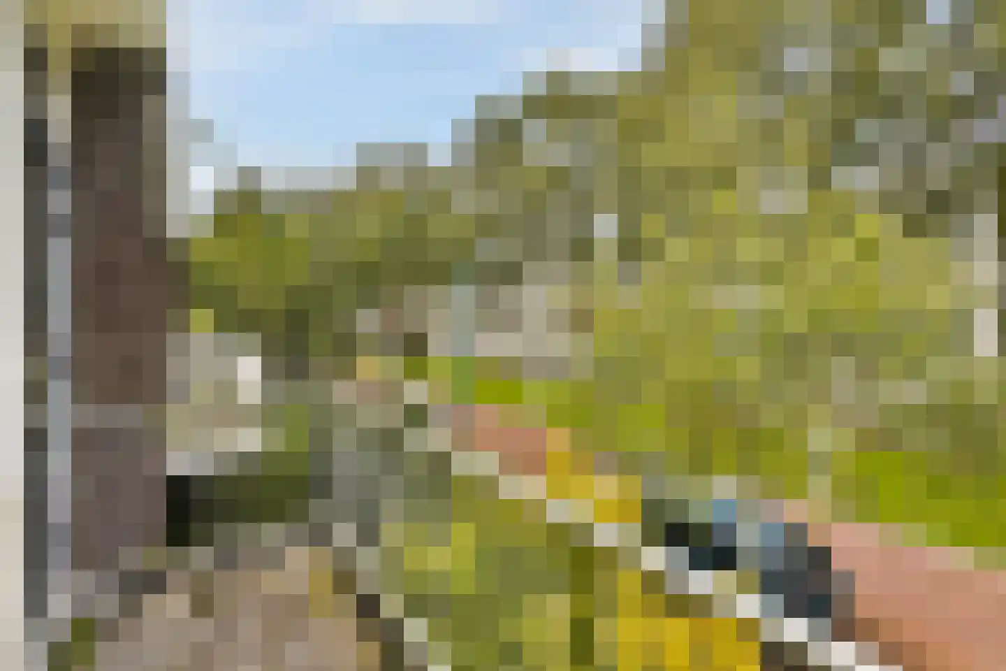 Frans Halslaan 58 Oegstgeest thumbnail 16